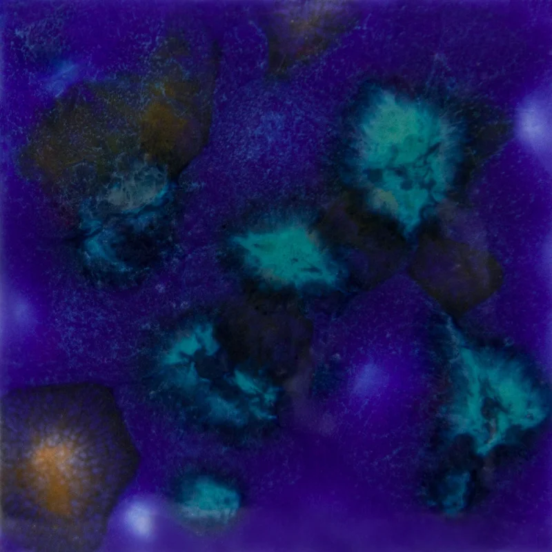 alabamaart644363