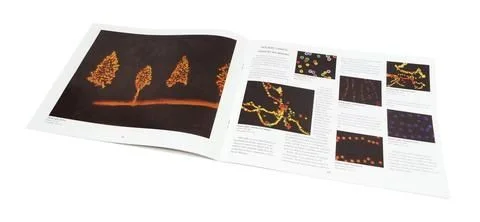 artistsupplysource1-733132