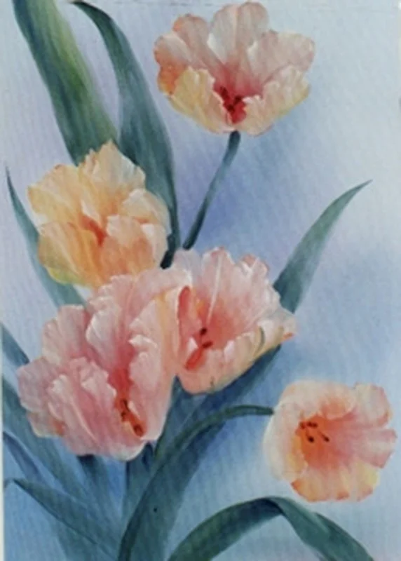 artistsupplysource1-748504