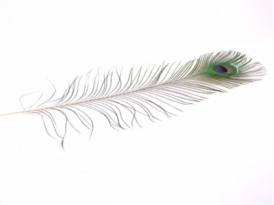 artistsupplysource1-772079
