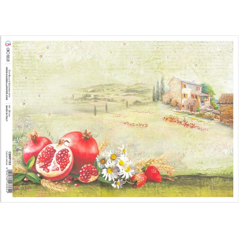 artistsupplysource1-788066