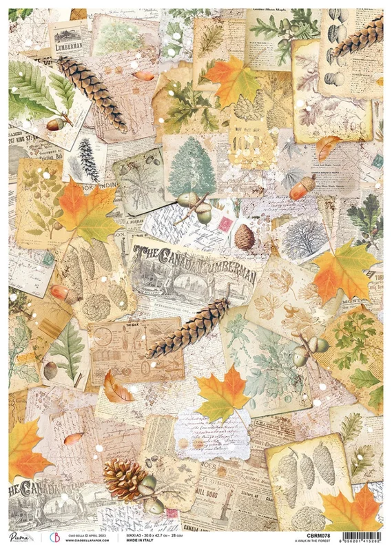 artistsupplysource2-721876