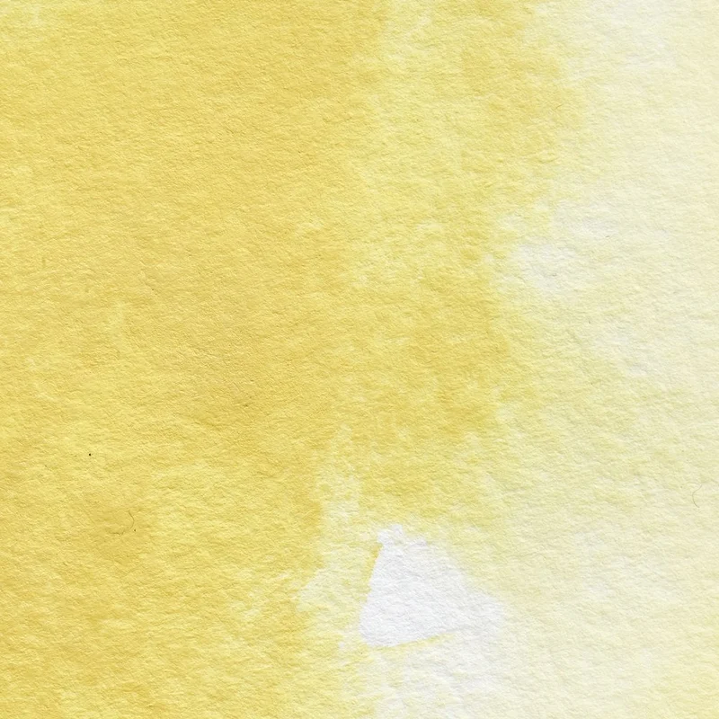 winsornewton556835
